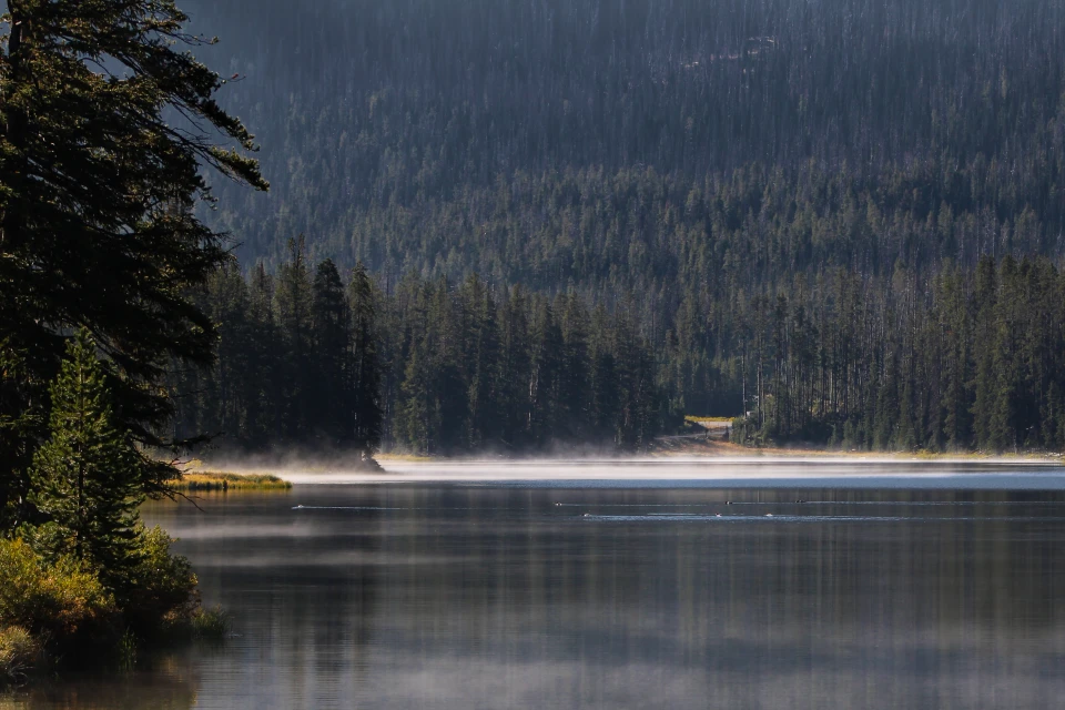 Lake Yellowstone beneath a broad sky