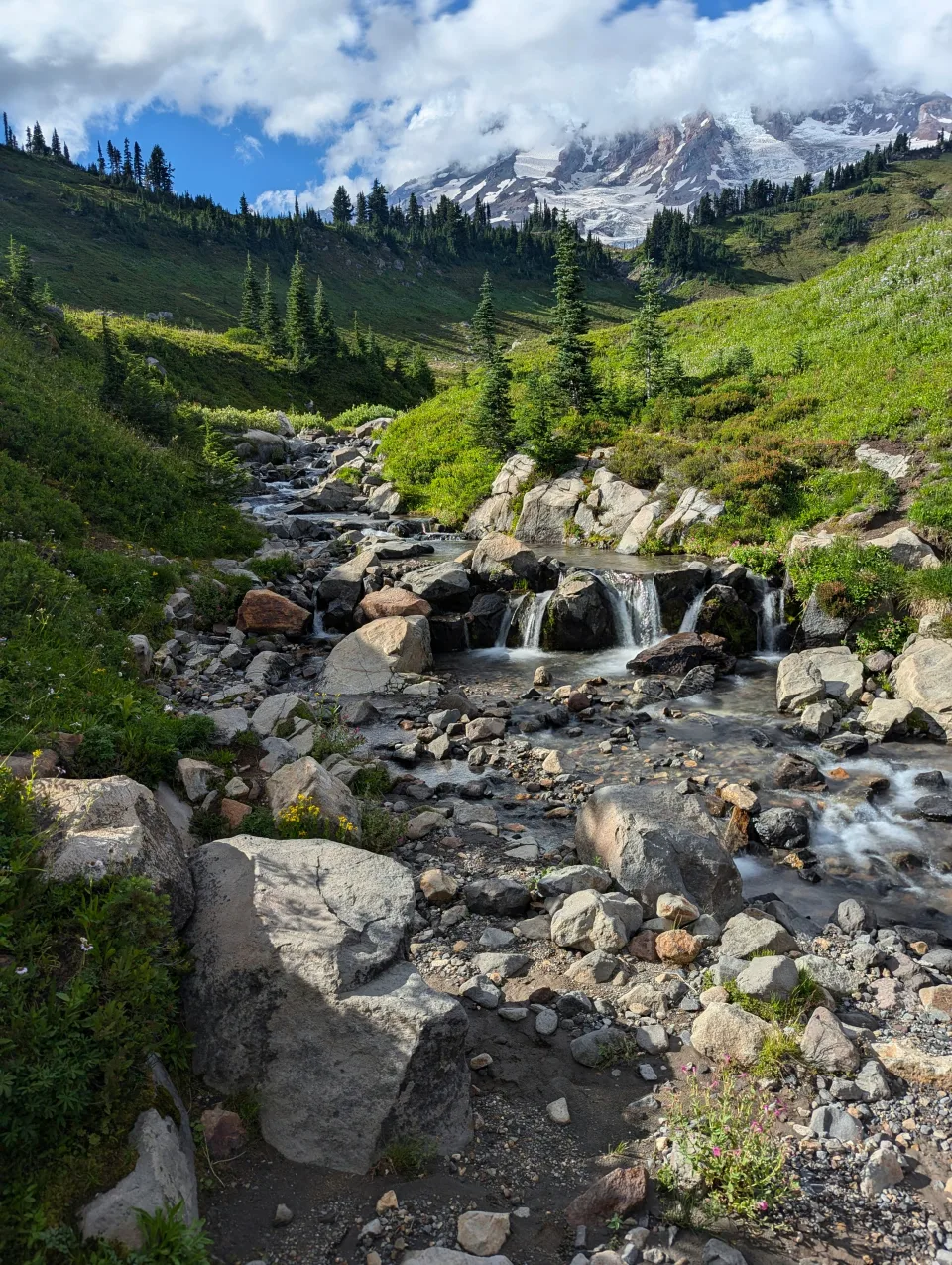 Landscapes near the base of Mount Rainier