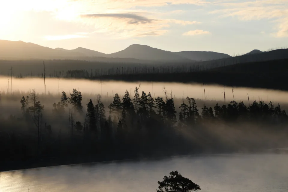 Morning haze at Yellowstone